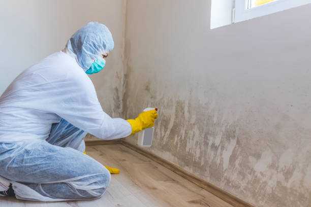 Hvac And Air Duct Mold Remediation inspection of HVAC system in Manchester Township